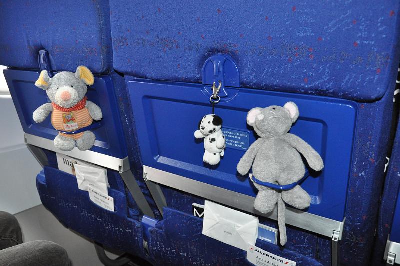 foto_20101106_1007_01.jpg - [de]Unsere Glücksbringer für diese Reise haben es sich auch schon bequem gemacht.[en]Our kids sent us their stuffed toys along to wish us well.