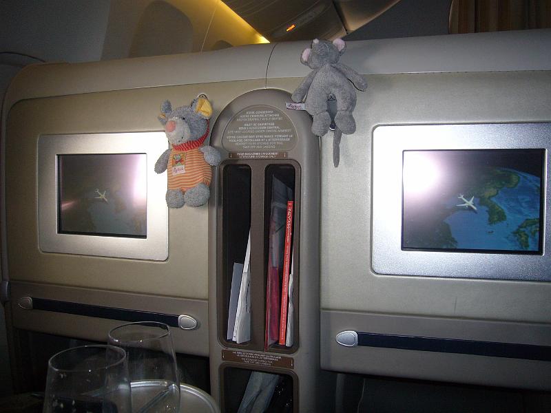 foto_20101107_0805_03.jpg - [de]Und während des Fluges, lachen uns die Stofftiere immer an.[en]The stuffed toys always watch over us during the flight.