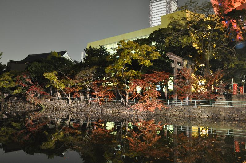 foto_20101113_1859_01.jpg - [de]Und der Teich liegt so ruhig da, dass sich die Bäume ganz toll darin spiegeln.[en]The pond is so flat, that the trees are mirrored very nicely.