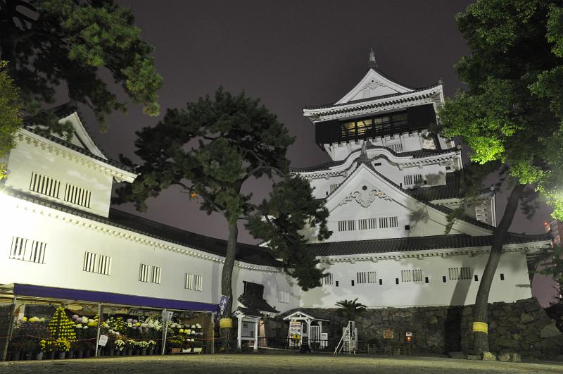 foto_20101113_1911_01.jpg - [de]Im Innenhof stehen eine Menge wertvoller Chrysanthemen einfach so über Nacht.[en]At the inner court they left all the valueable flowers over night.