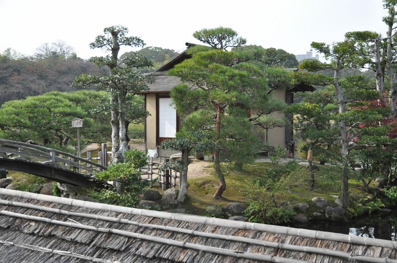 foto_20101114_1157_01.jpg - [de]Die Bäume und das Haus passen einfach hübsch zueinander.[en]The trees and the house fit together very nicely.