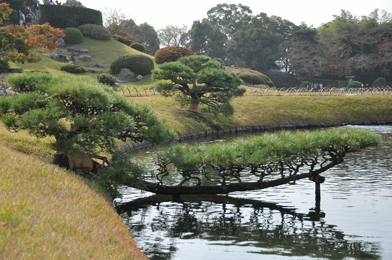foto_20101114_1159_01.jpg - [de]Bei uns hätte man den Ast bestimmt abgesägt, hier wird er als gestaltendes Element verwendet.[en]I would expect that this branch would have been cut back in Germany, here it is a dominating element for the atmosphere around the pond.