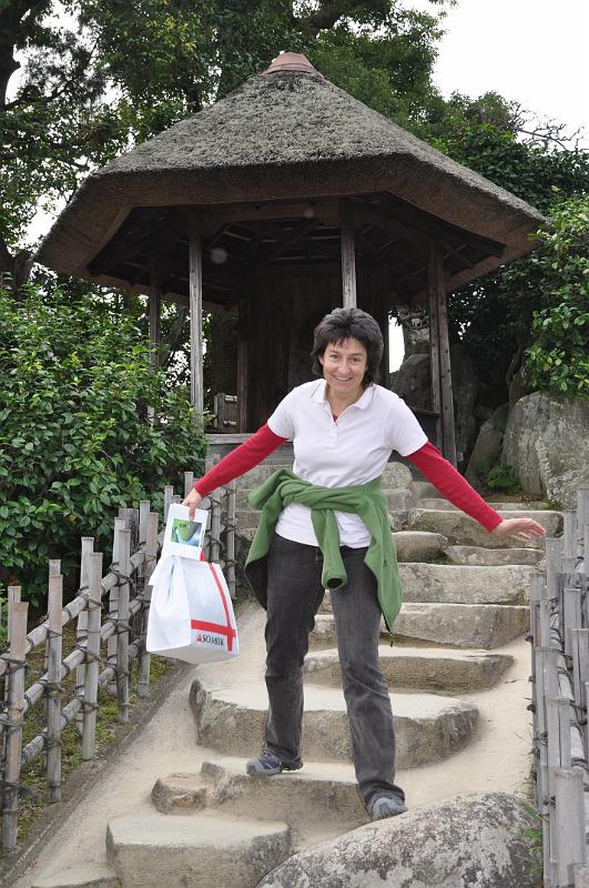 foto_20101114_1239_01.jpg - [de]Nur nicht übermütig werden auf den Stufen.[en]Don't get overexcited on those stairs.