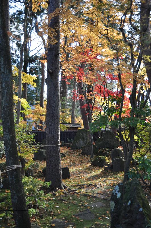 foto_20101115_1359_02.jpg - [de]Bei diesem Anblick kann man sicher gut im Garten entspannen.[en]I am sure you can easily relax with this great view in the garden.