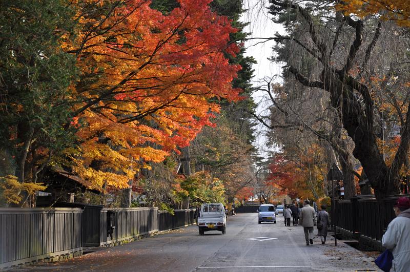 foto_20101115_1430_03.jpg - [de]Und noch einmal ein Blick entlang der Strasse.[en]And once more looking along the street.