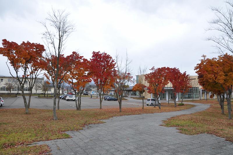 foto_20101116_0925_02.jpg - [de]Auch hier sind die Herbstfarben noch zu sehen.[en]You also find some autumn leafs here.