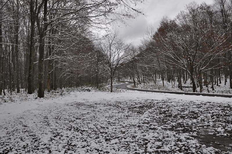foto_20101116_1053_01.jpg - [de]Der erste Schnee hat die Gegend fest eingenommen.[en]The first snow has taken over this area.