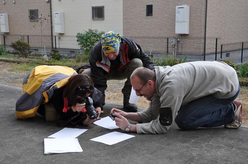 foto_20101118_1253_02.jpg - [de]Observer auf der Fotojagd nach einer Gottesanbeterin.[en]Observers hunting a mantis with their cameras.