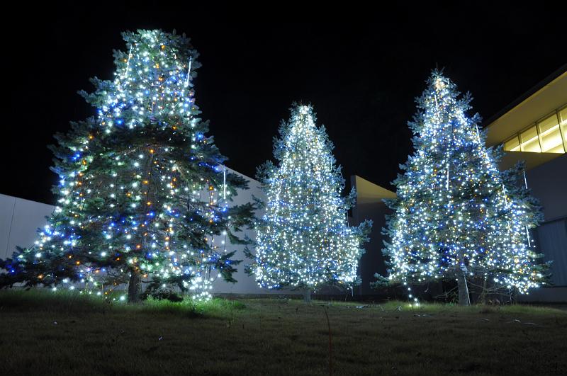foto_20101118_1744_01.jpg - [de]Im Garten des Twin Ring Hotels ist schon alles auf Weihnachten eingestellt.[en]The garden of the Twin Ring hotel is readily prepared for christmas.