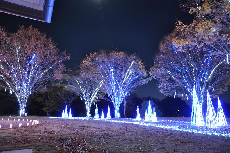 foto_20101118_1746_01.jpg - [de]Viele Bäume sind mit Lichterketten geschmückt.[en]Man of the trees are decorated with light chains.