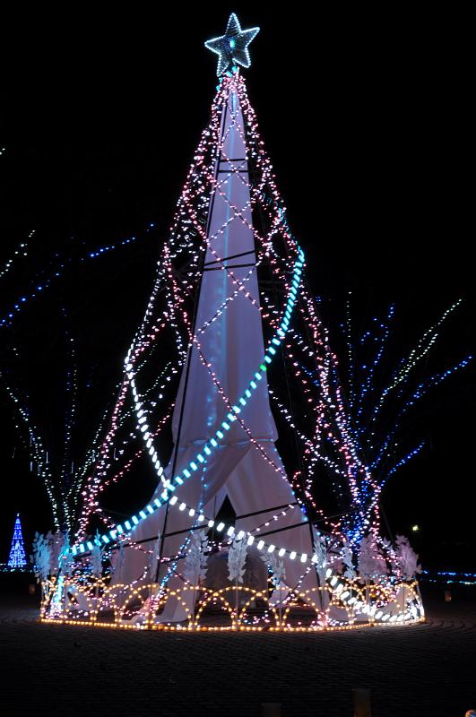 foto_20101118_1749_03.jpg - [de]Und ein großer stilisierter Tannenbaum darf natürlich nicht fehlen.[en]And a large symbolic christmas tree is the center piece of the garden.