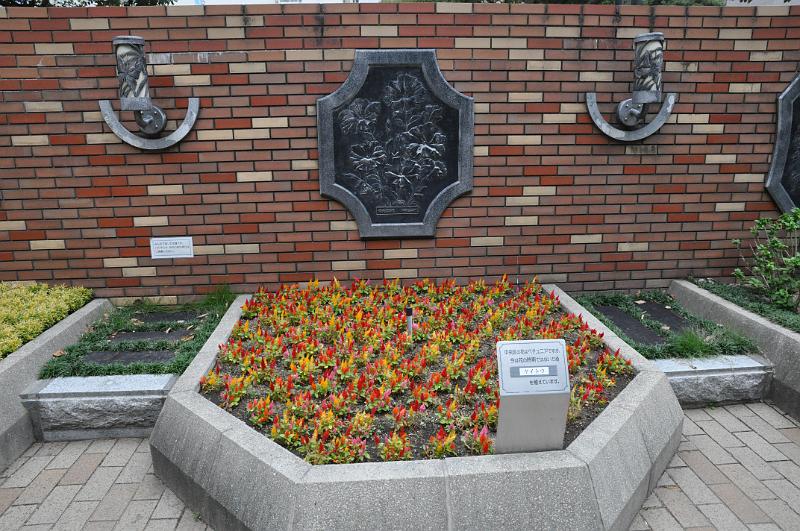 foto_20101107_1518_01.jpg - [de]Und schöne Blumenbeete gibt es hier auch.[en]Nice flower arrangements are also found here.