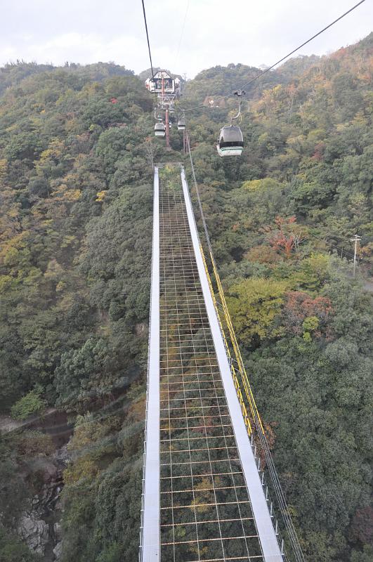 foto_20101107_1611_02.jpg - [de]Man fragt sich, warum unter der Seilbahn ein Gitter gebaut ist...[en]I wonder why they built this mesh below the ropeway...