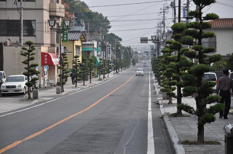 foto_20101108_1333_01.jpg - [de]Eine Allee führt in die Stadtmitte von Iwakuni.[en]An alley leads into the city of Iwakuni.