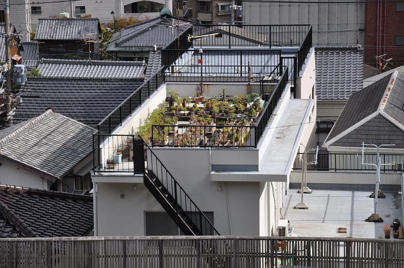 foto_20101109_1327_01.jpg - [de]Einblick in einen hübschen Dachgarten.[en]We're able to peek into a nice roof garden.