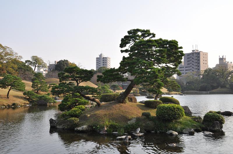foto_20101111_1532_01.jpg - [de]Krasser Gegensatz zwischen Garten und Hochhäusern.[en]Interesting contrast between the garden and skyscrapers.