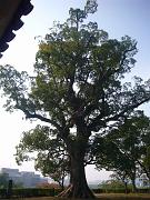 foto_20101111_1105_01