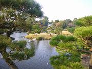 foto_20101111_1547_02