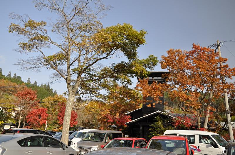 foto_20101112_1506_02.jpg - [de]Der blaue Himmel lässt die Farben natürlich gleich noch viel mehr leuchten.[en]The blue sky contributes well to the impression.