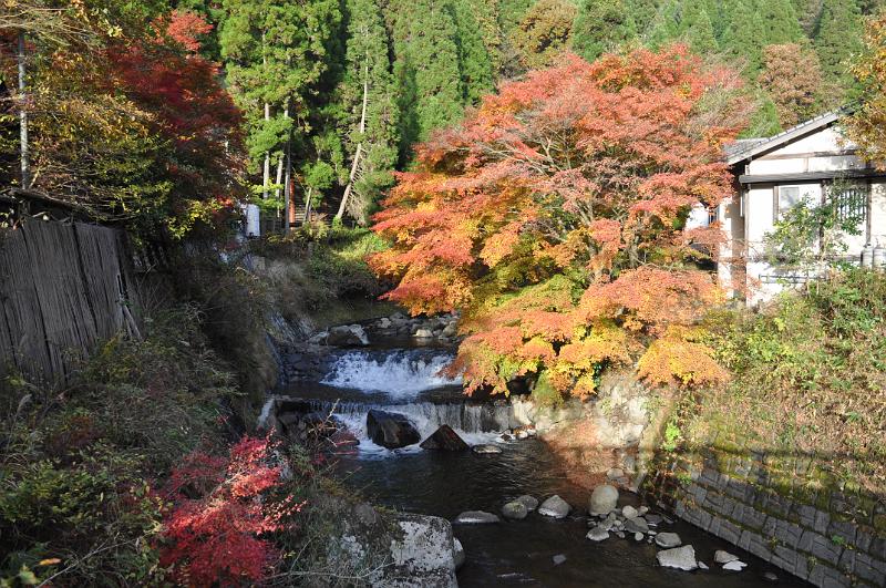 foto_20101112_1605_01.jpg - [de]Oder aber in einer passenden Landschaft.[en]Our in a nicely fitting landscape.