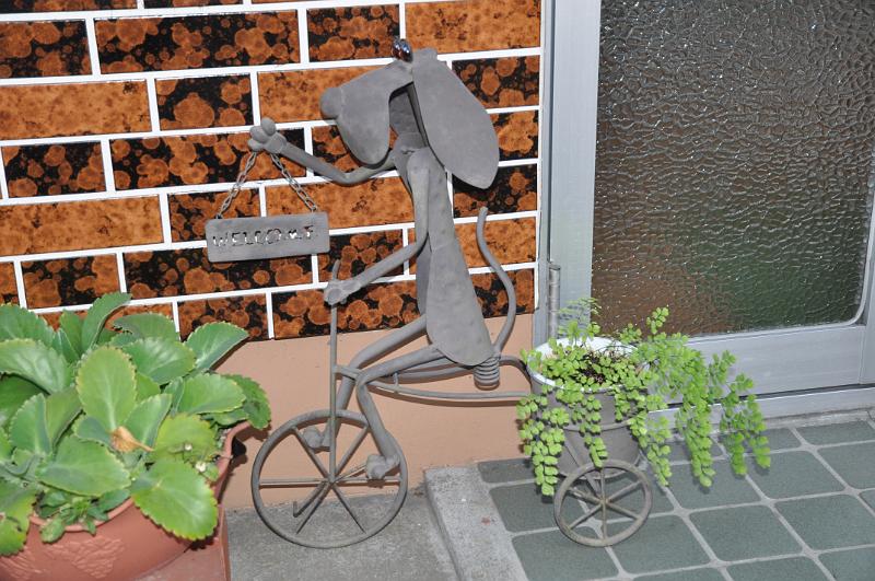 foto_20101112_1619_03.jpg - [de]Das ist mal ein netter Blumentopf am Hauseingang.[en]This is a nice flower pot at a house entrance.