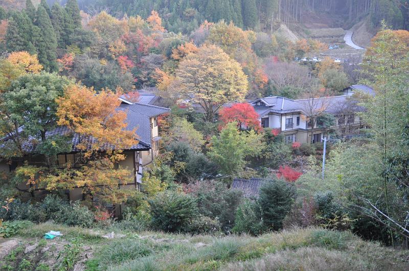 foto_20101112_1626_01.jpg - [de]Die Ryokans schlängeln sich alle am Bach entlang.[en]Most of the ryokans are located along the small river.