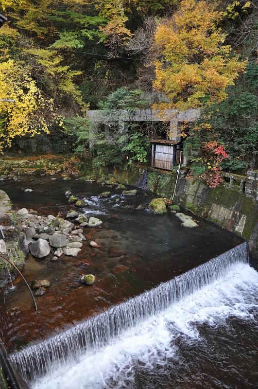 foto_20101112_1644_02.jpg - [de]Eine kleine Staustufe im Bach.[en]A small step in the river.