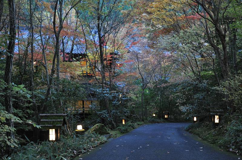 foto_20101112_1712_01.jpg - [de]Das Ryokan liegt ziemlich heimelich unten am Bach im Wald.[en]This ryokan is located down at the river in a dark forest.