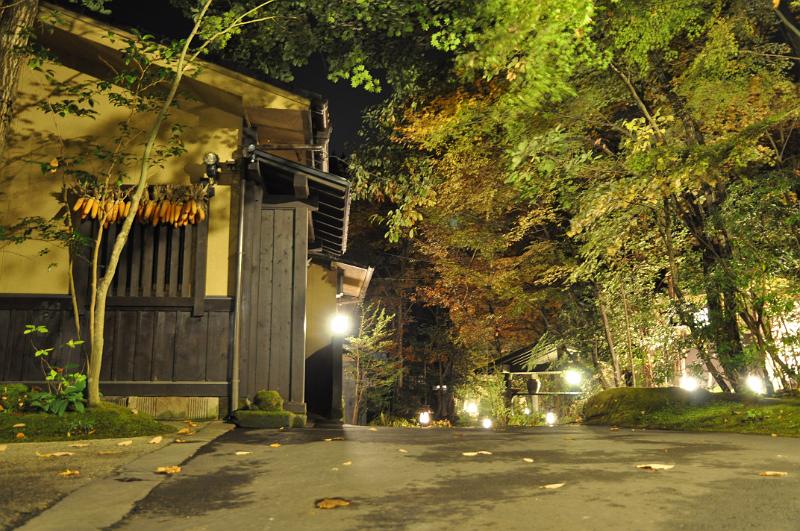 foto_20101112_2156_01.jpg - [de]Der Weg vor dem Eingang ist etwas besser beleuchtet (bei langer Belichtung).[en]The path in front of the entrance is lighted slightly better (with long exposure).