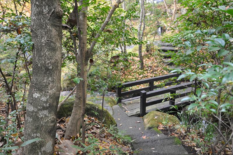 foto_20101113_0949_02.jpg - [de]Das ist der Zugang zu dem netten Rotenburo.[en]This is the access path to the nice rotenburo.