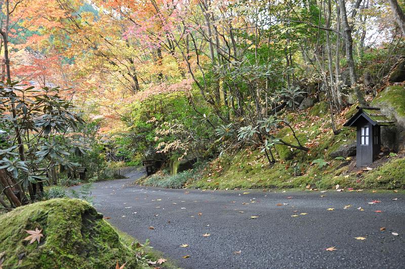 foto_20101113_0950_04.jpg - [de]Und die steile Zufahrt zum Ryokan Eingang.[en]And the very steep access road to the ryokan entrance.