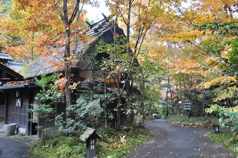 foto_20101113_0952_01.jpg - [de]Kleiner Rundgang durch das Ryokan bei Tageslicht.[en]A short walk around our ryokan at daylight.