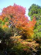 foto_20101112_1609_04