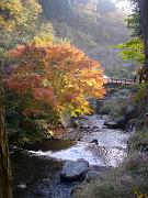 foto_20101112_1611_04